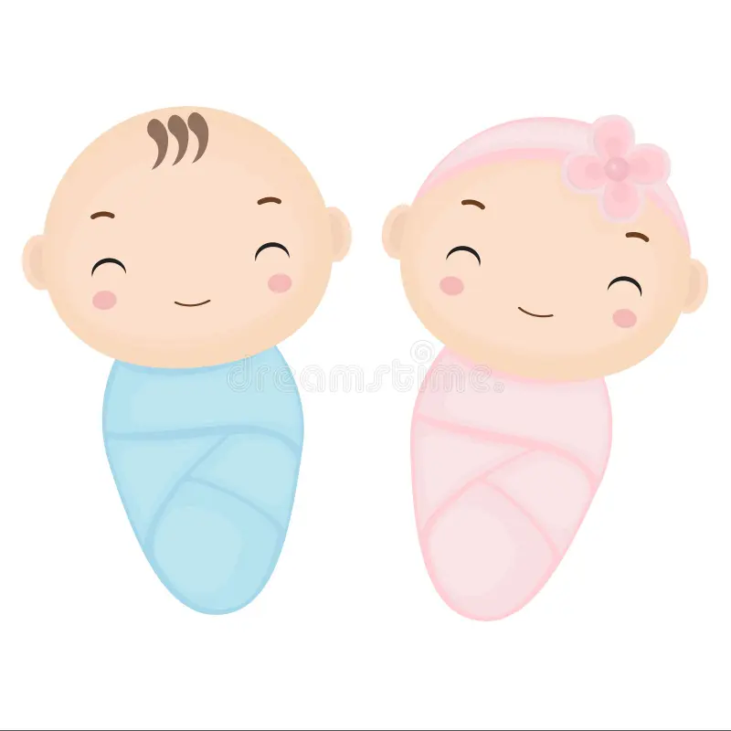 핑크·블루 스와들 쌍둥이 일러스트