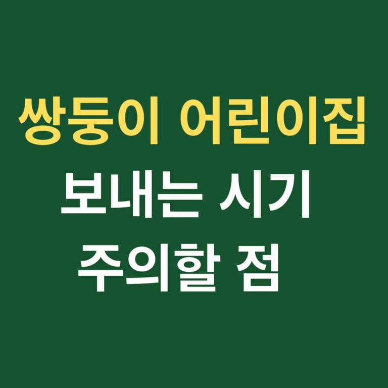 쌍둥이 어린이집 보내는 시기 주의할 점