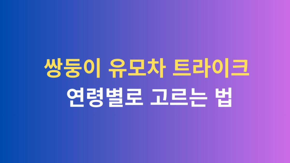 쌍둥이 유모차 트라이크 연령별로 고르는법