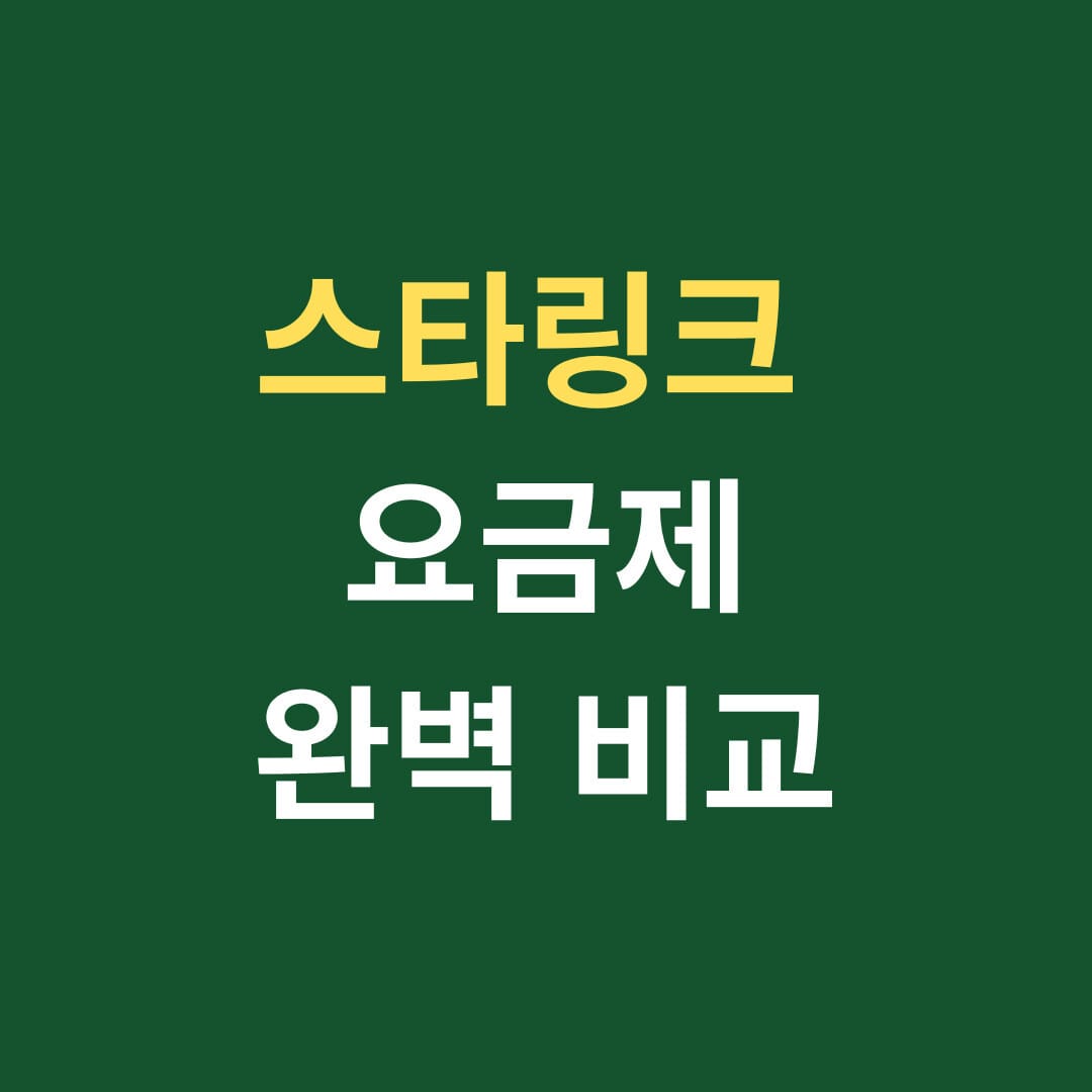 스타링크 요금제 완벽 비교