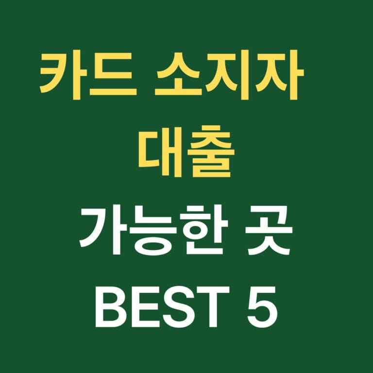 카드 소지자 대출