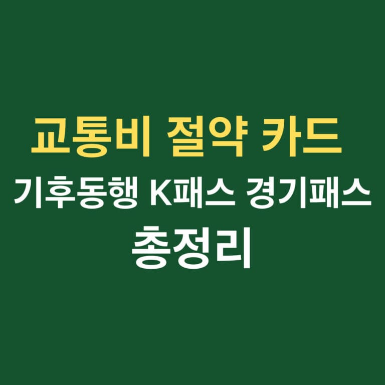 교통비 절약카드 기후동행 K패스 경기패스 총정리