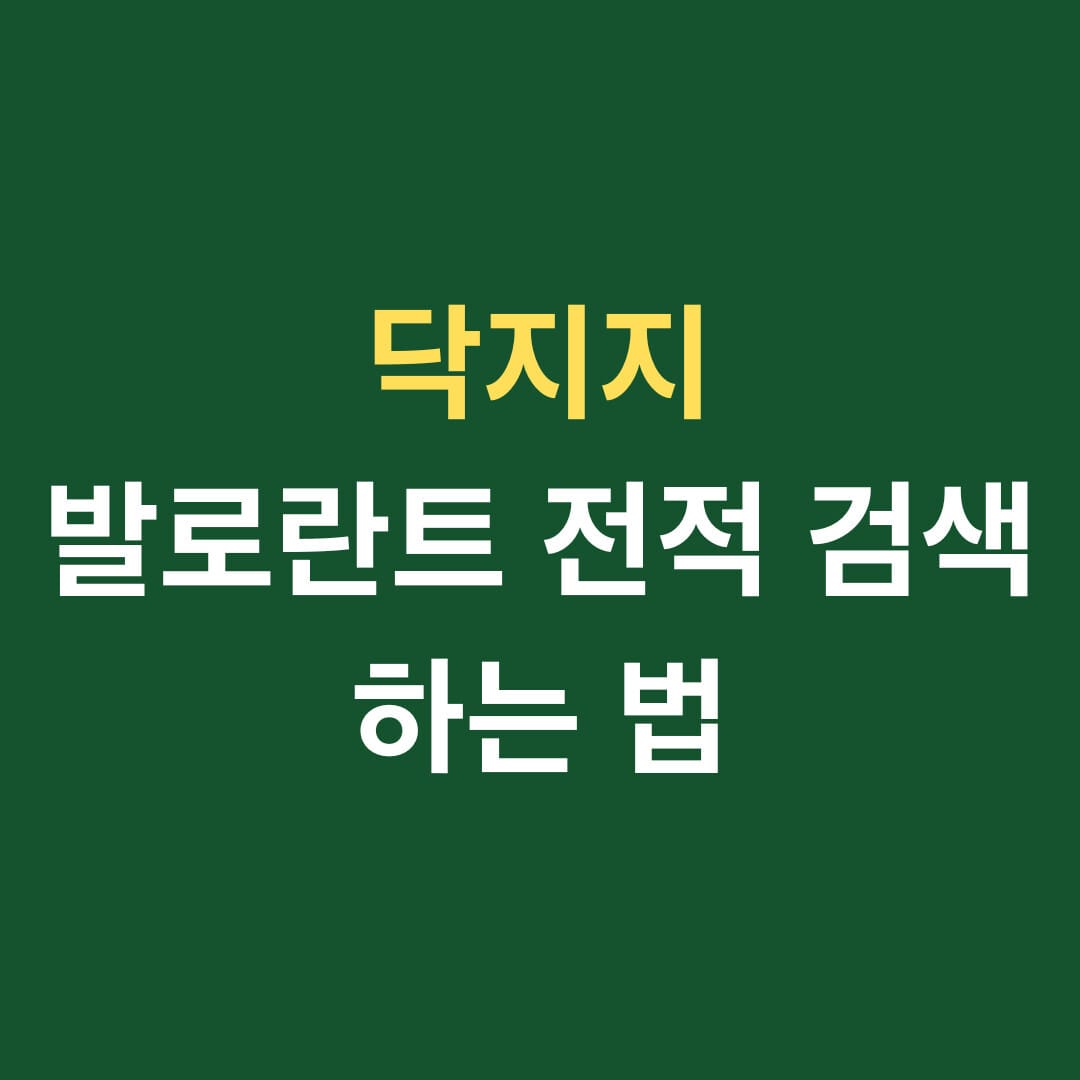닥지지 발로란트 전적검색