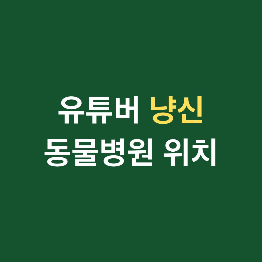 유튜버 냥신 동물병원 위치 썸네일