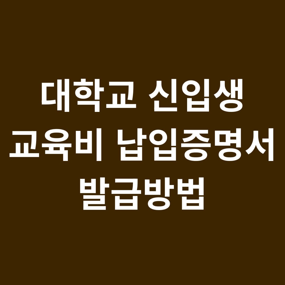 대학교 신입생 교육비 납입 증명서 발급 방법 썸네일