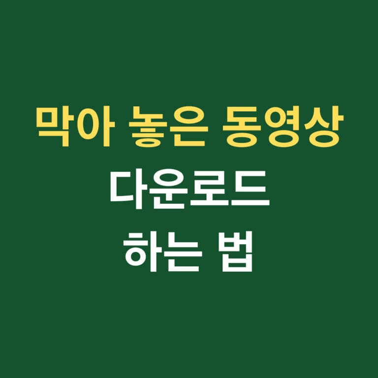 막아 놓은 동영상 다운로드 하는 법 썸네일