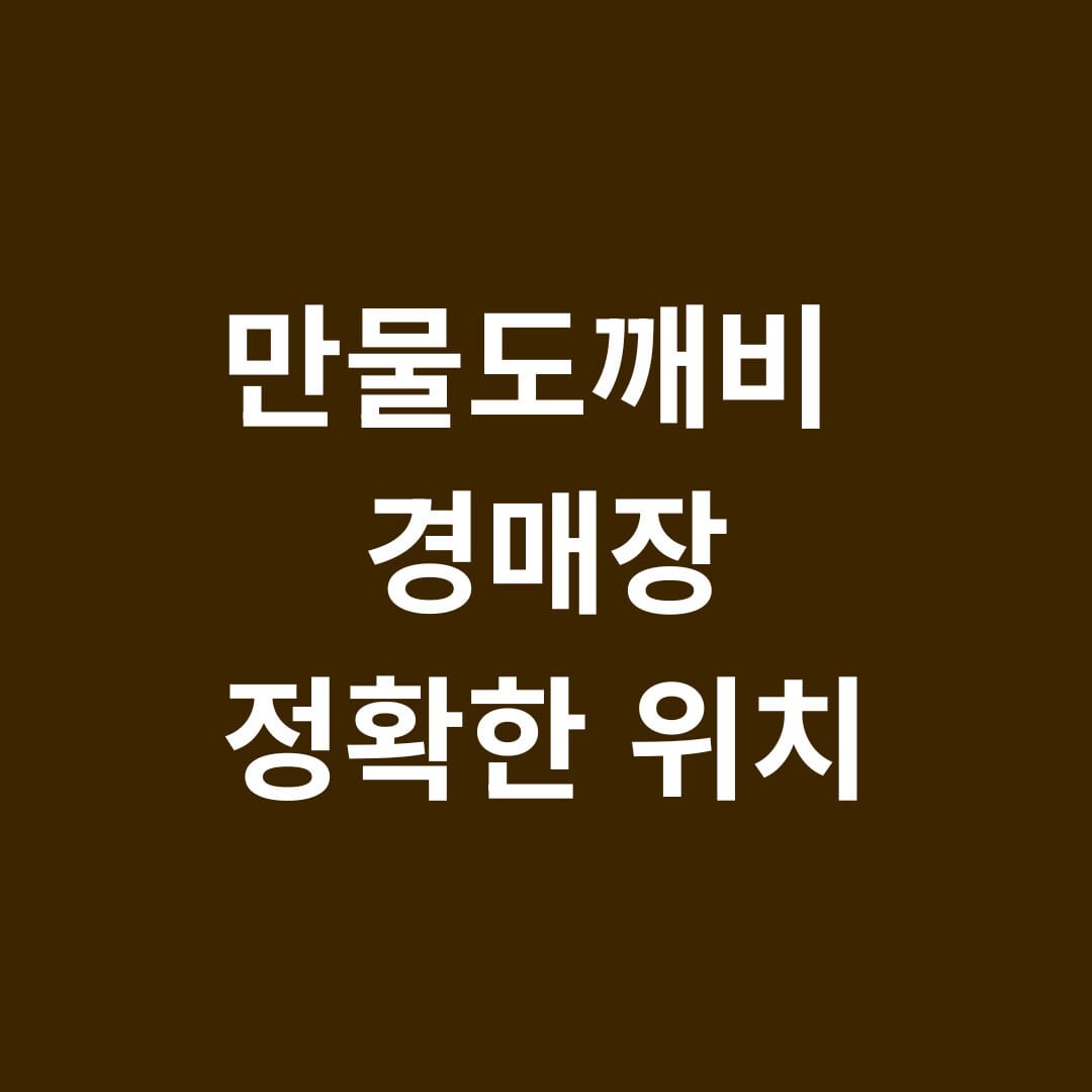 만물도깨비 경매장 정확한 위치 썸네일