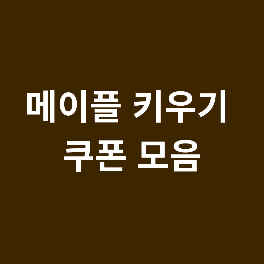 메이플 키우기 쿠폰 모음 썸네일