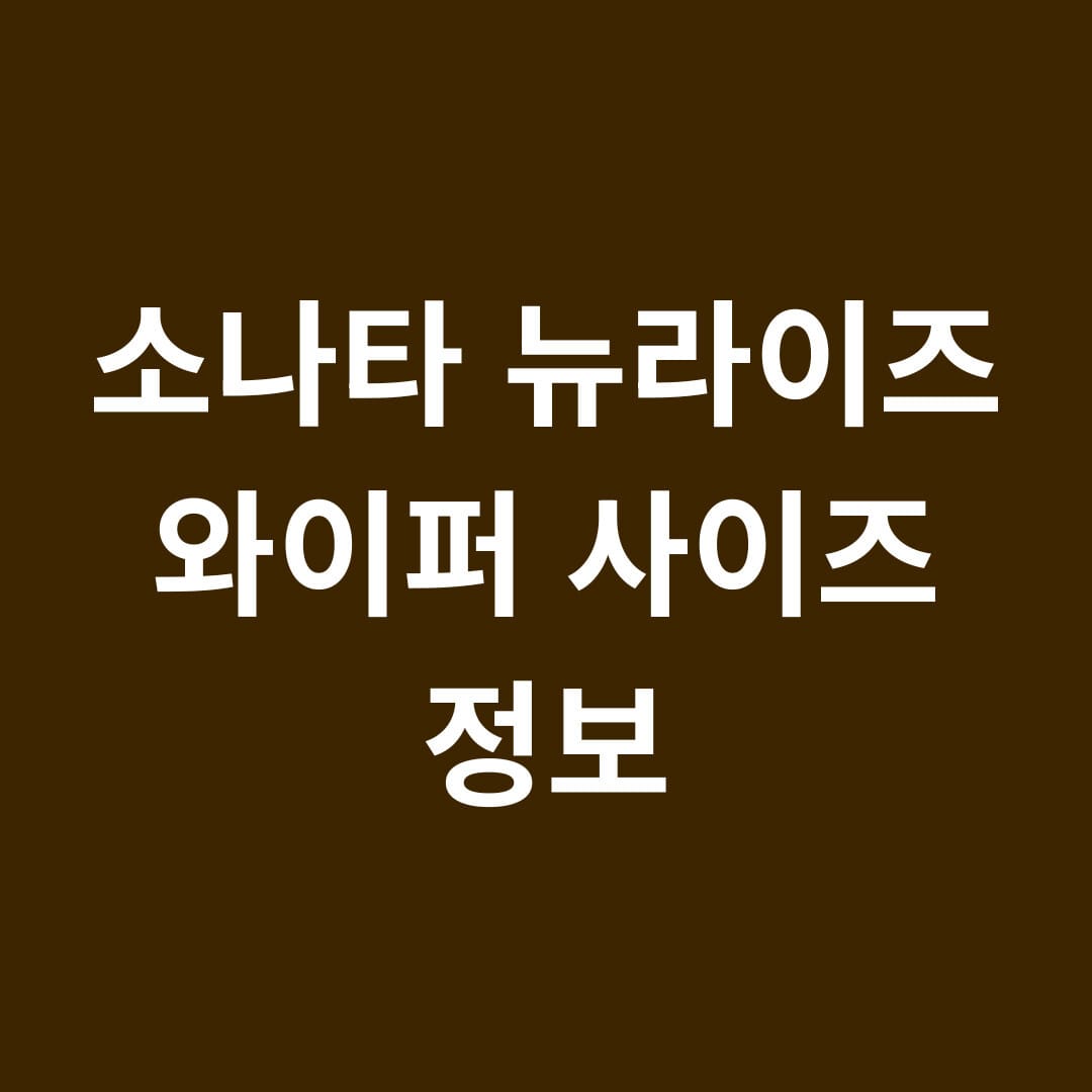 소나타 뉴라이즈 와이퍼 사이즈 정보 썸네일