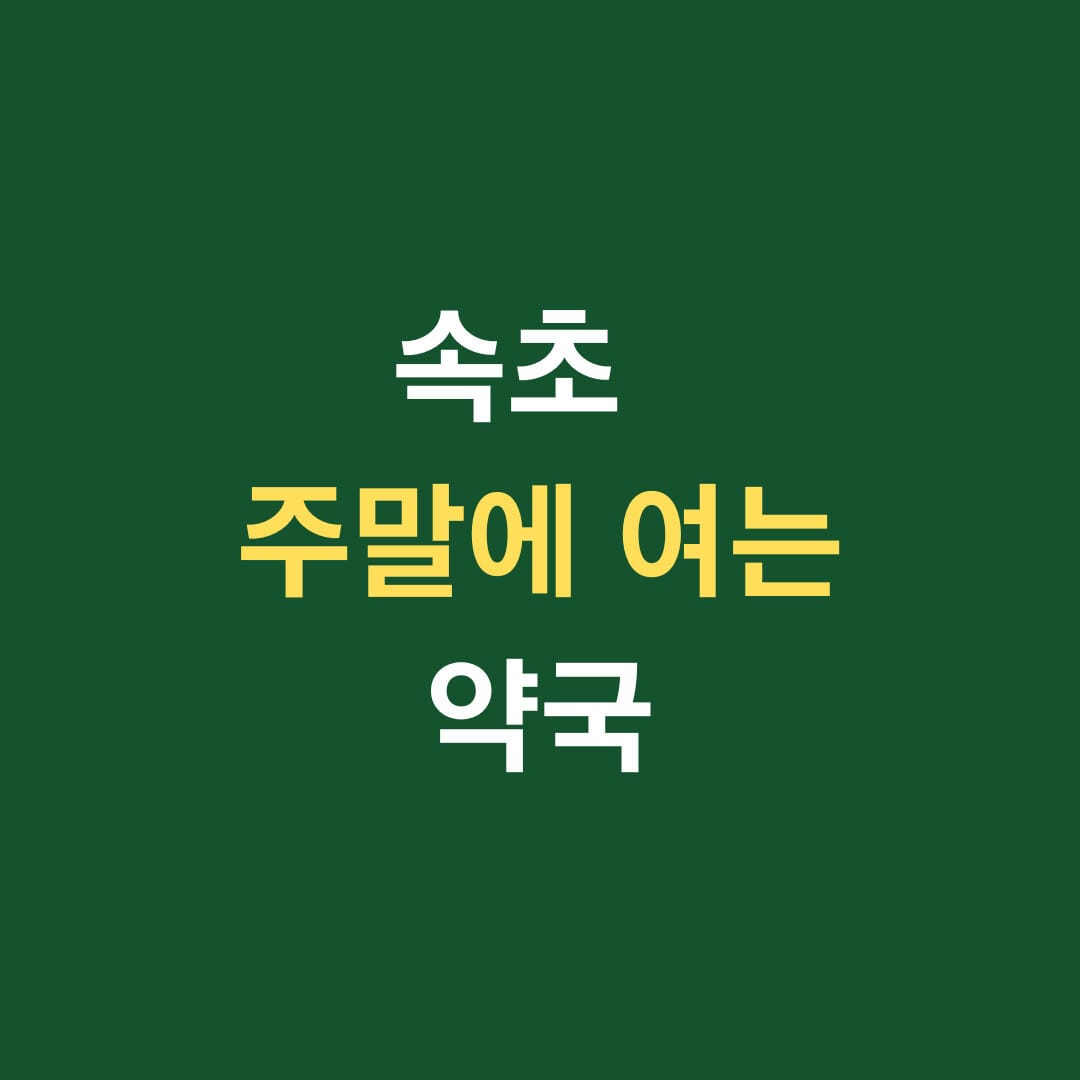 속초 주말에 여는 약국 썸네일