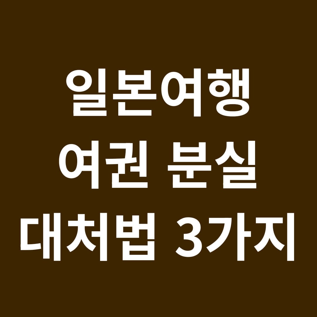 일본여행 여권 분실 대처법 3가지