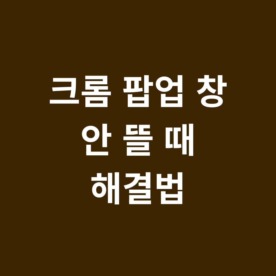 크롬 팝업 창 안 뜰 때 해결법 썸네일