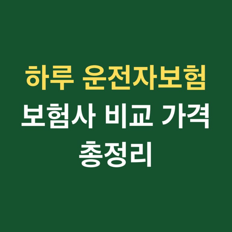 하루 운전자보험 보험사 비교 가격 총정리 썸네일
