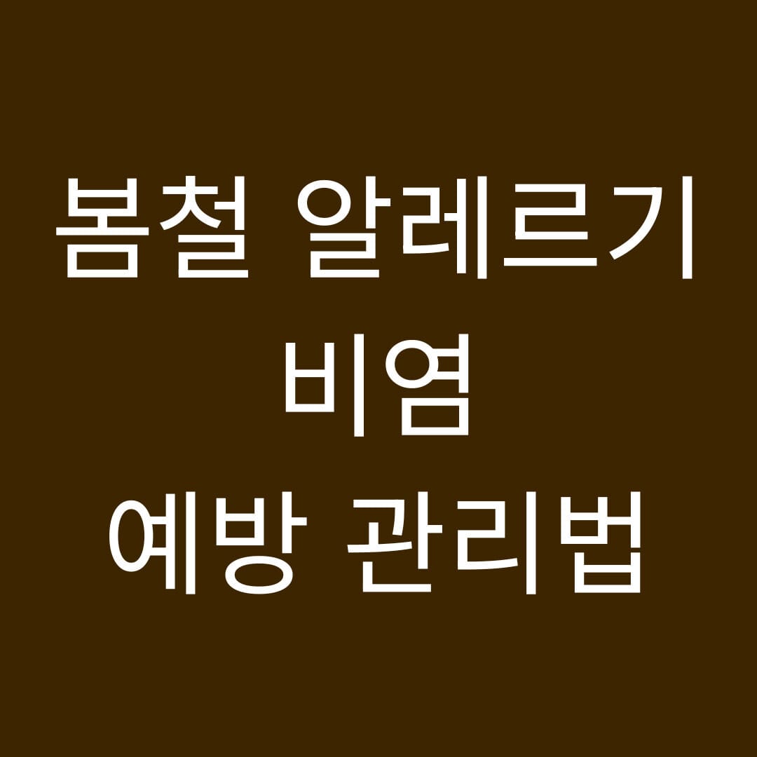 봄철 알레르기 비염 예방 관리법 썸네일
