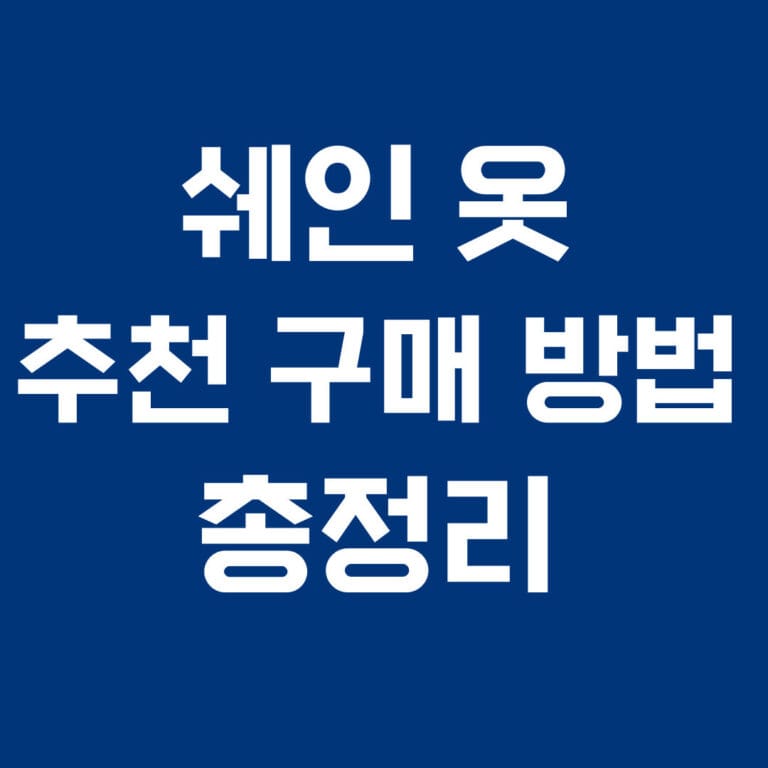 쉐인 옷 추천 구매방법 총정리