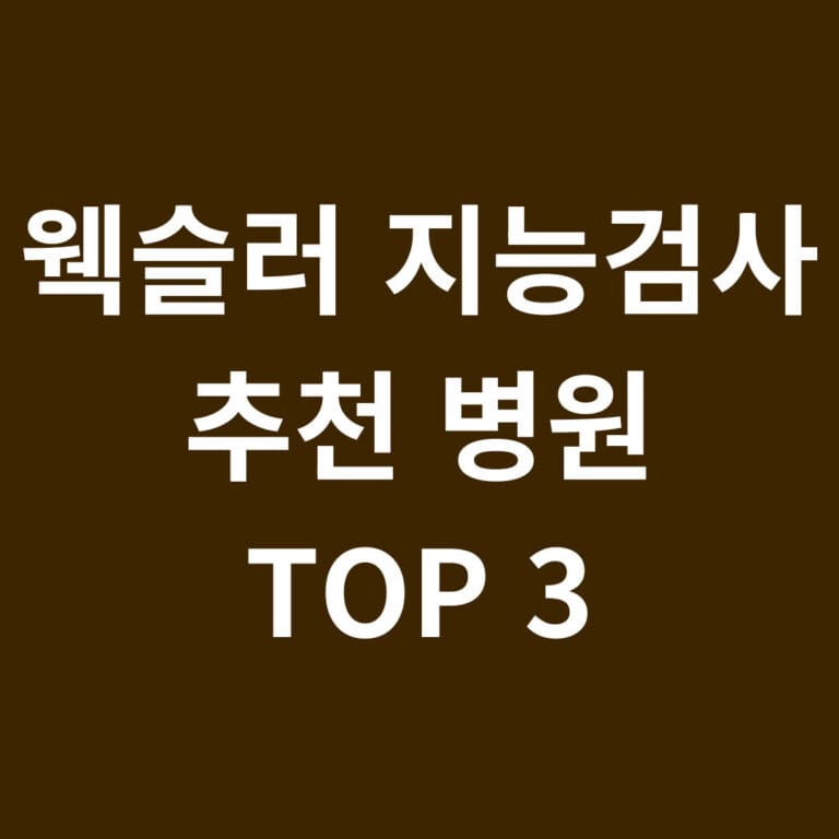웩슬러 지능검사 추천병원 TOP 3