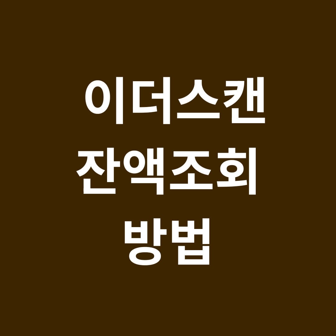 이더스캔 잔액조회 방법 썸네일