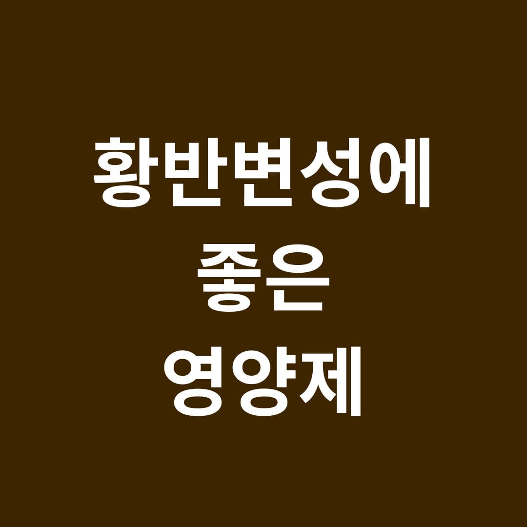 황반변성에 좋은 영양제