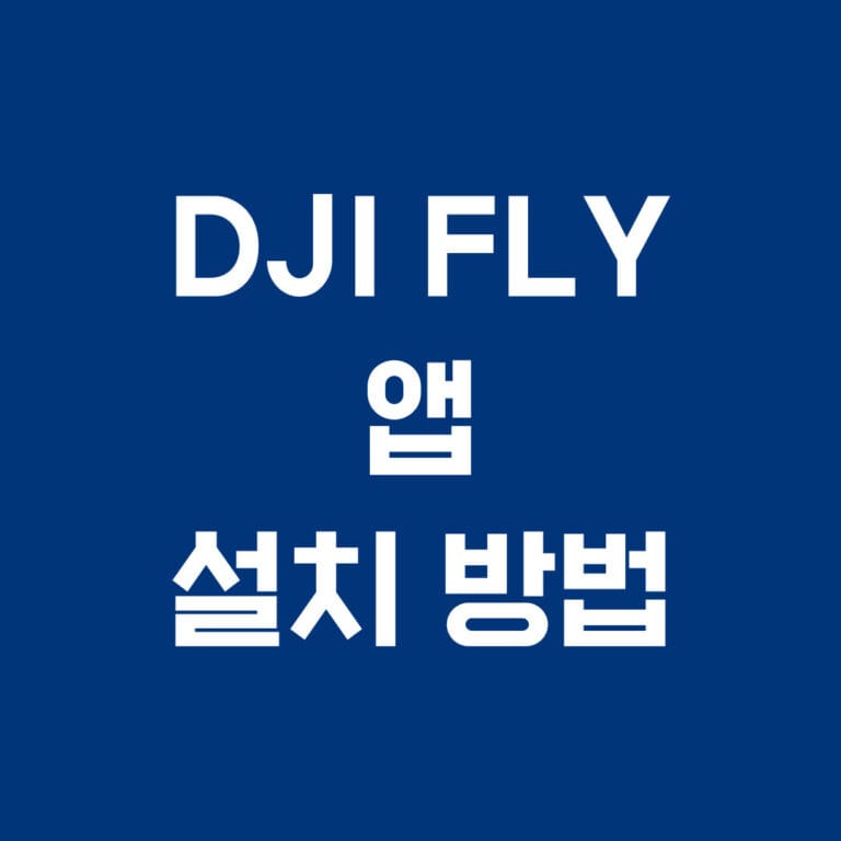 DJI FLY 앱 설치 방법
