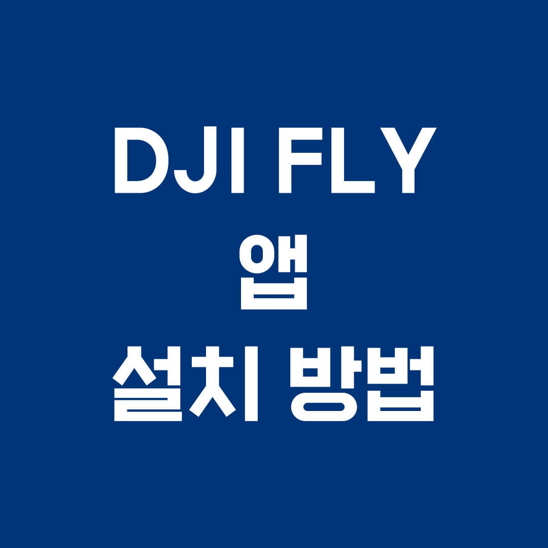 DJI FLY 앱 설치 방법
