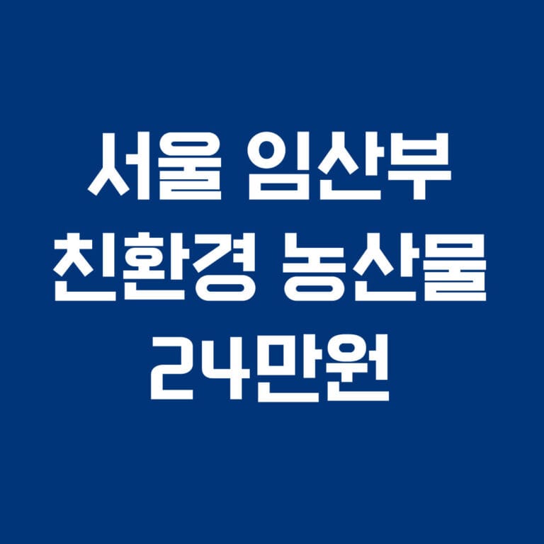 서울 임산부 친환경 농산물 24만원