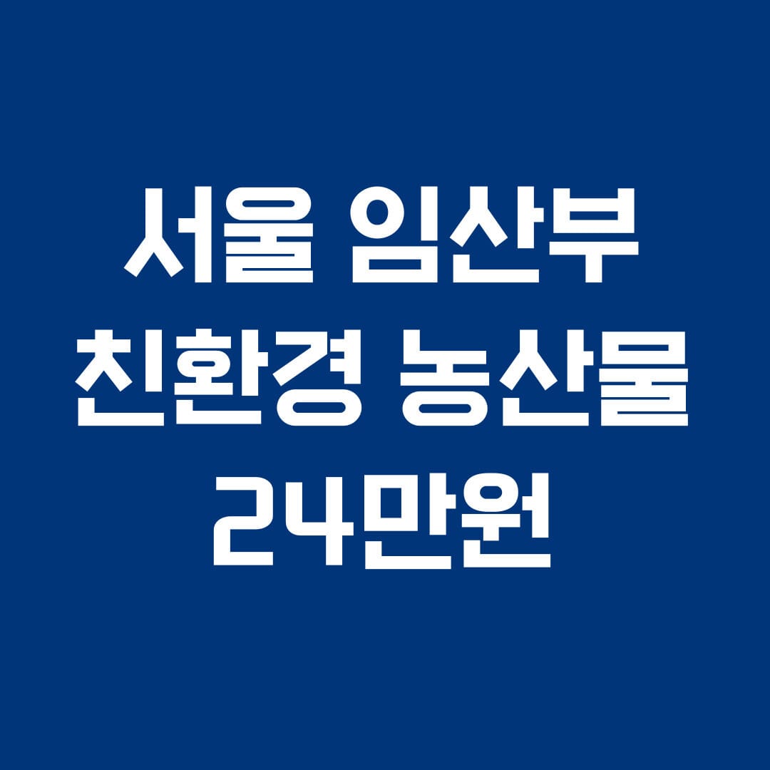 서울 임산부 친환경 농산물 24만원