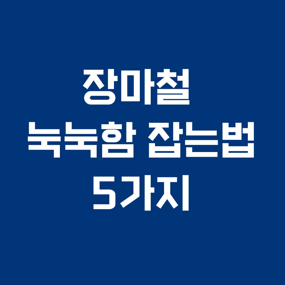 장마철 눅눅함 잡는법 5가지