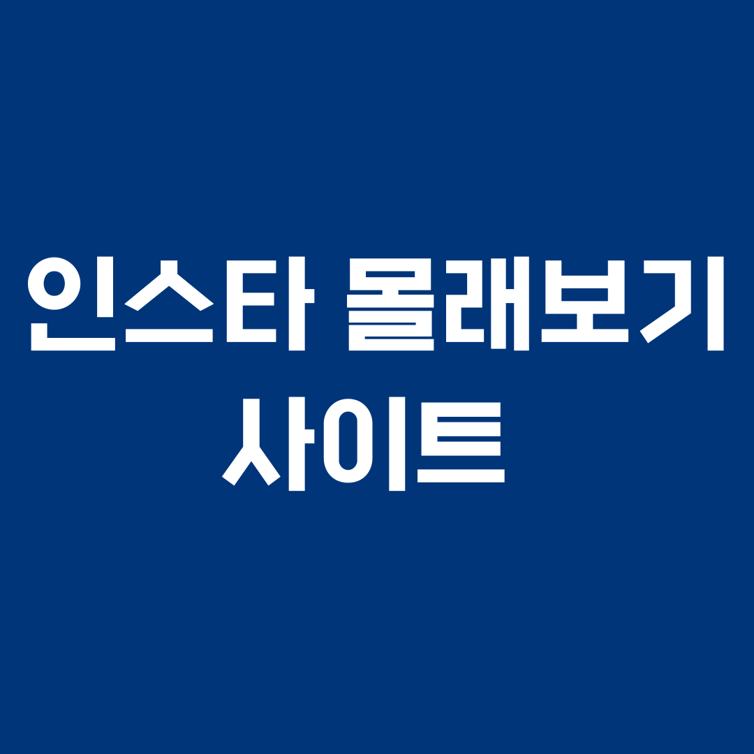 인스타 몰래보기 사이트
